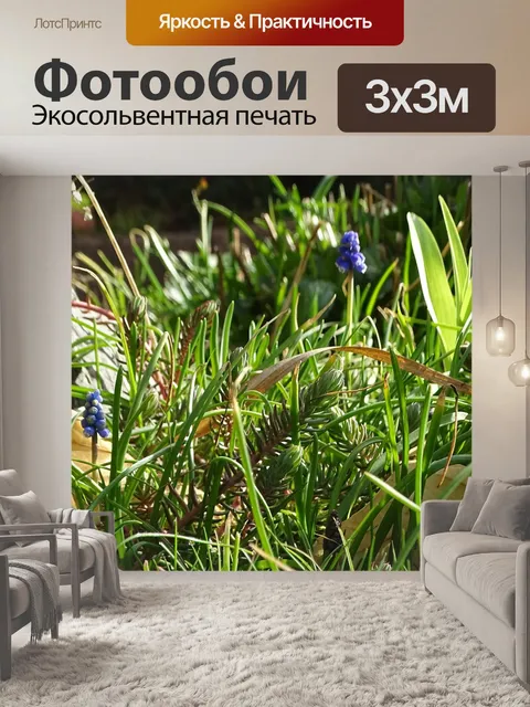 Фотообои Цветы