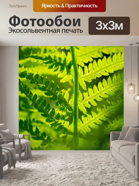 Фотообои зеленый папоротник