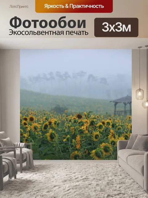 Фотообои Подсолнечник