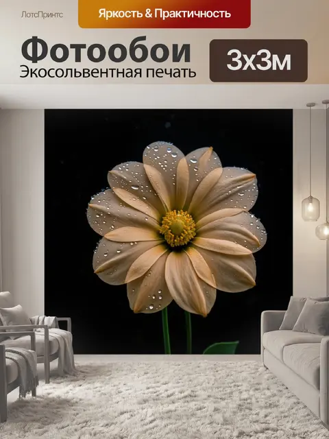 Фотообои бежевый цветок пропустил капли дождя на ночном фоне, создающими эффект изысканности и таинственности