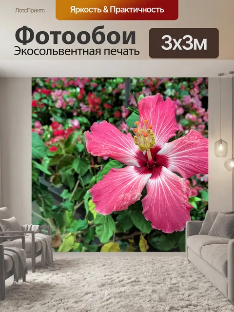 Фотообои Розовый гибискус
