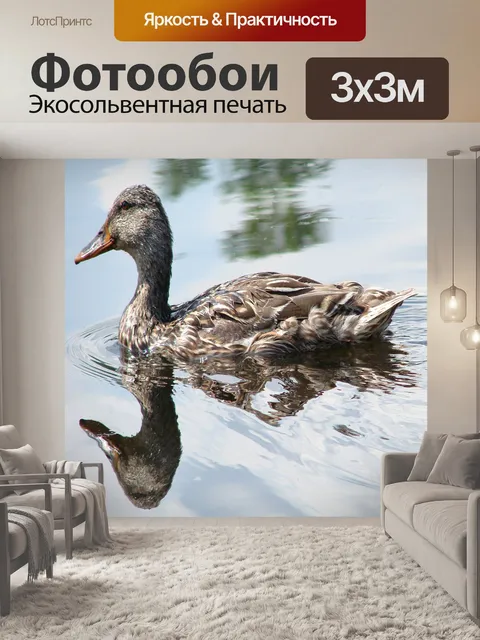 Фотообои Утка с отражением