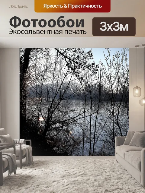 Фотообои Деревья