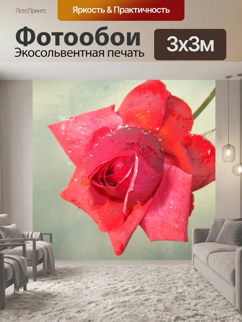 Фотообои Роза