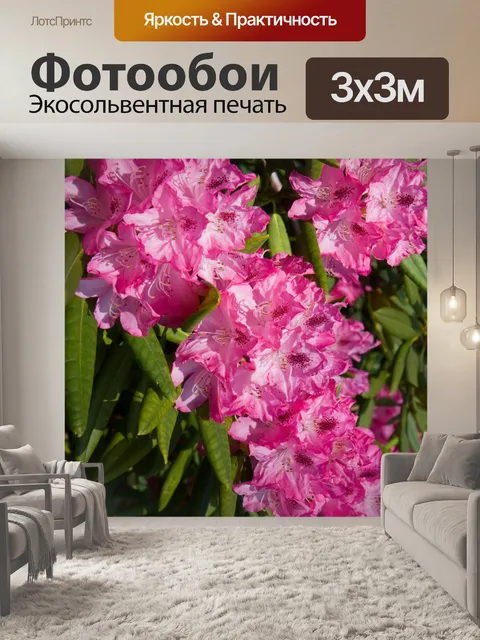 Фотообои Розовый фон с цветами
