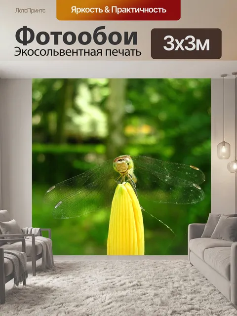 Фотообои Стрекоза