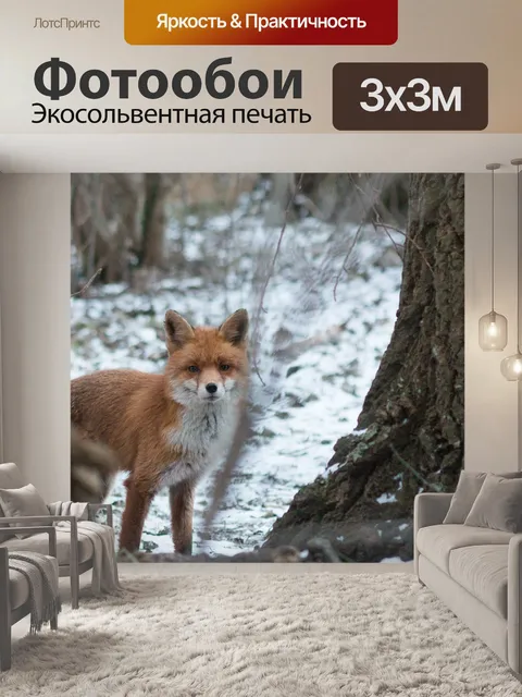 Фотообои Лиса