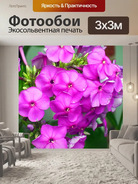 Фотообои Флокс