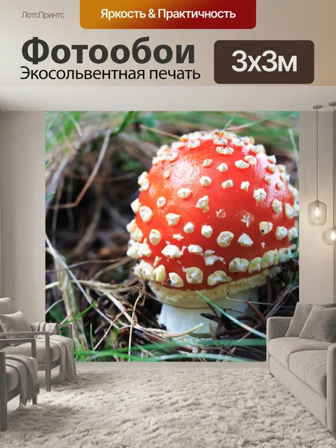 Фотообои Шапка