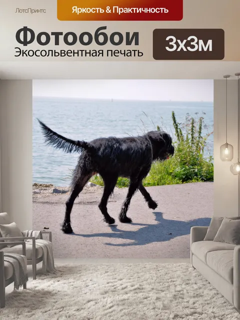 Фотообои Ходунки