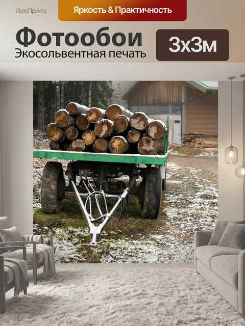 Фотообои Последователь
