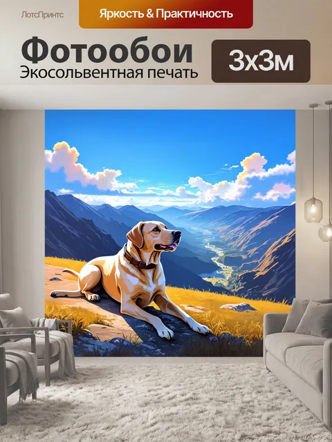 Фотообои лабрадор, сидящий на горном склоне с потрясающим видом на долину, заполненную облаками