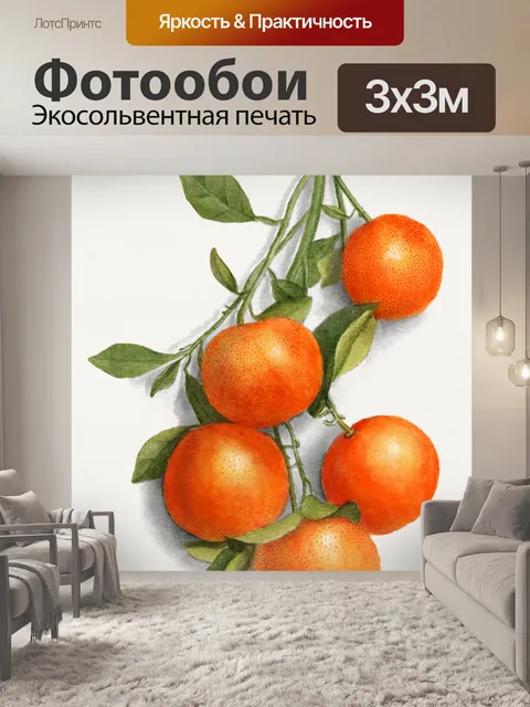 Фотообои Апельсин фрукты фрукты искусство