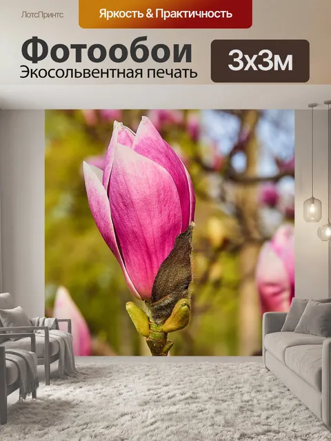Фотообои Тюльпан магнолия