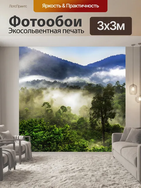 Фотообои Туманный лес