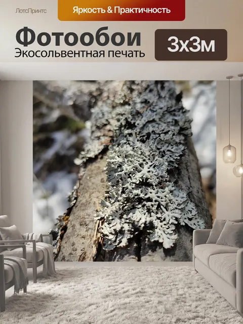 Фотообои Природа