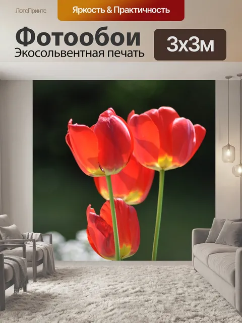 Фотообои Мак