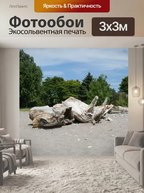 Фотообои Driftwood