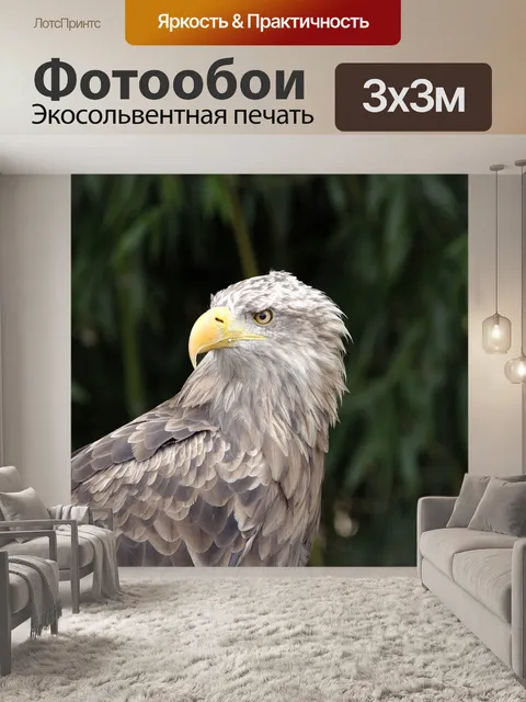 Фотообои Орел