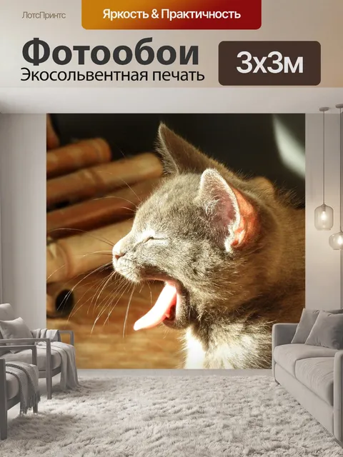 Фотообои Кошачий