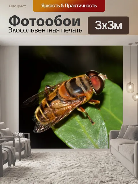 Фотообои Летать