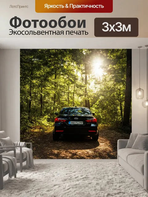 Фотообои тачка, окруженная густым лесом, солнечные лучи пробиваются сквозь листву, вызывая игру света и тени