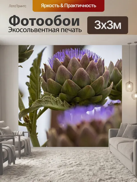 Фотообои цветущий артишок