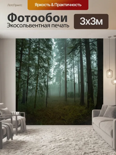 Фотообои лес с вечерним туманом, облегающим деревья