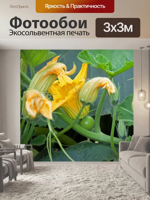 Фотообои желтый цветок тыквы