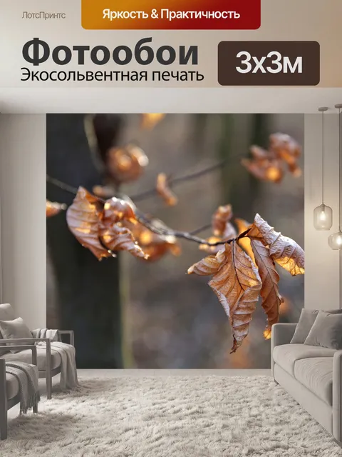 Фотообои Сухие листья