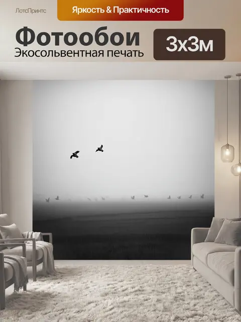 Фотообои туман в стиле рисунок углём, летающие птицы над туманным полем