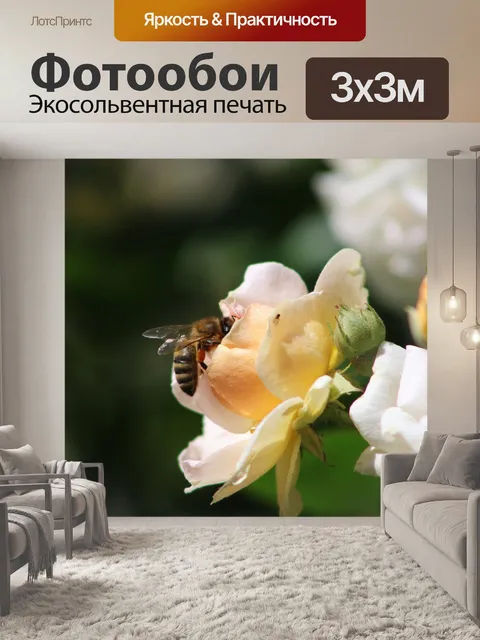 Фотообои Пчела