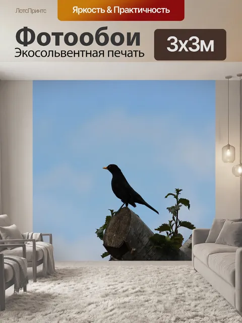 Фотообои Blackbird На Tree Top