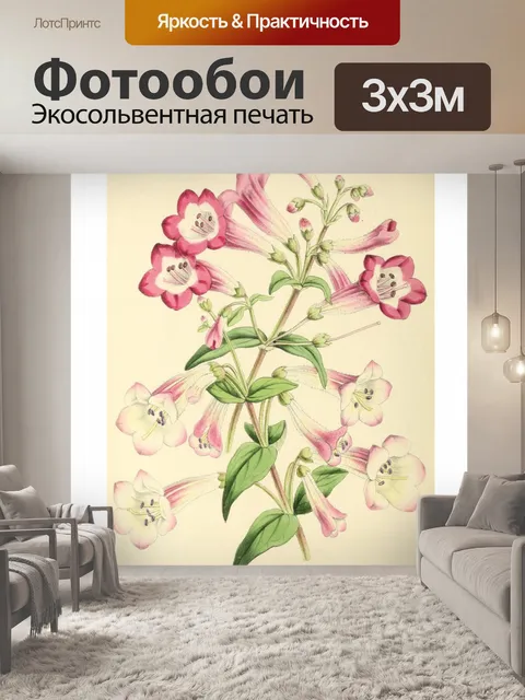 Фотообои Искусство иллюстрации садовых цветов