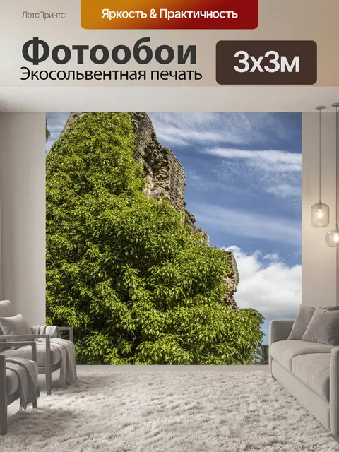 Фотообои Замок Барнард