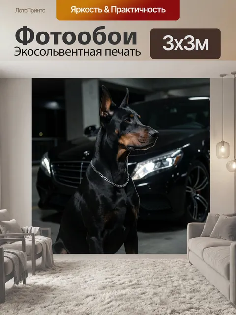 Фотообои Доберман у черного автомобиля