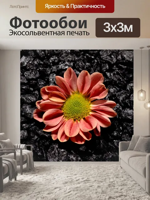 Фотообои Небольшой