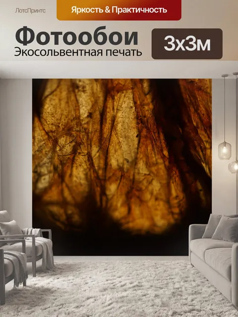 Фотообои Янтарь