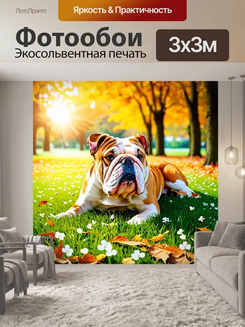 Фотообои бульдог, лежащий на траве в парке с пушистой белой овсянкой, вокруг него разбросаны осенние листья