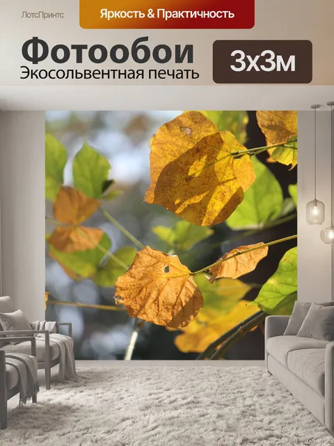 Фотообои Листья