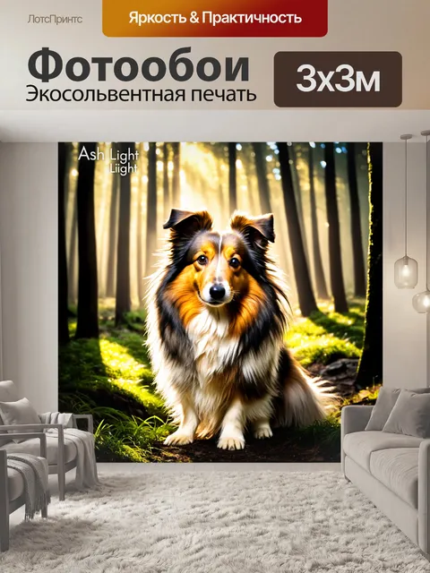 Фотообои стильная фотография шелти, позирующей среди лесного массива с пробивающимися лучами света