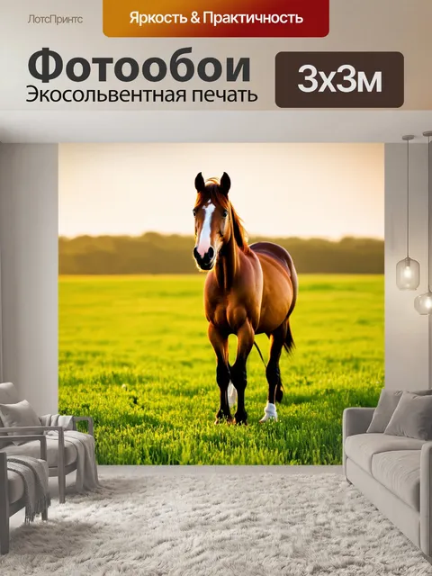 Фотообои конь, стоящий на зеленом лугу, освещенный нежным утренним светом
