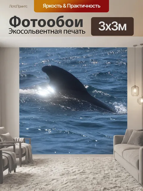 Фотообои Кит