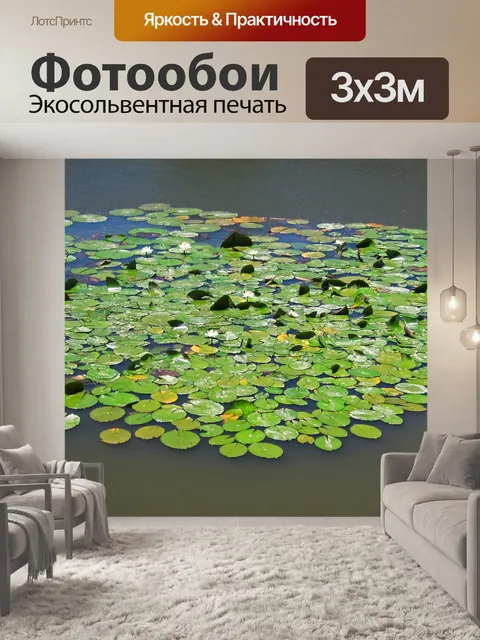 Фотообои Водяные лилии на пруду