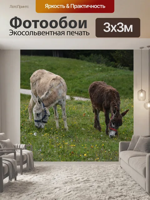 Фотообои Лужайка