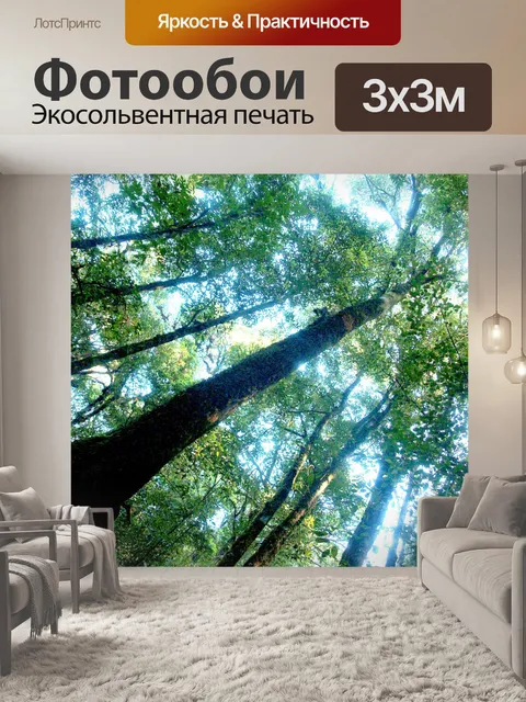 Фотообои Природа тропический лес дои Интанон наци