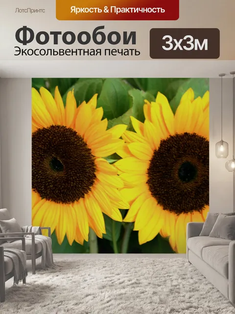 Фотообои подсолнухи
