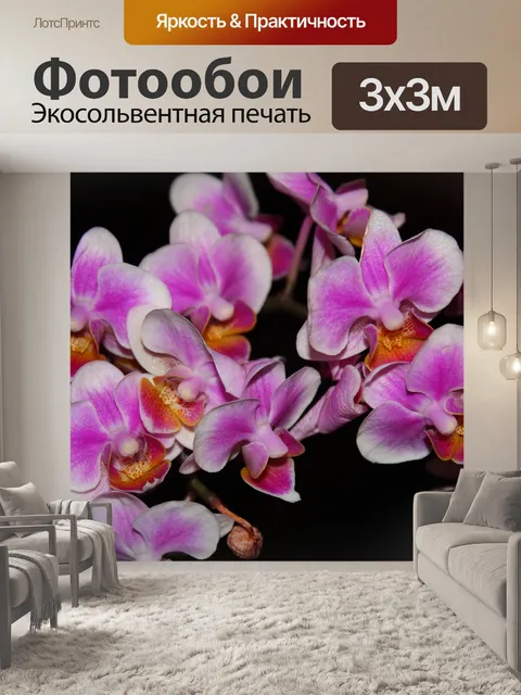 Фотообои Орхидея