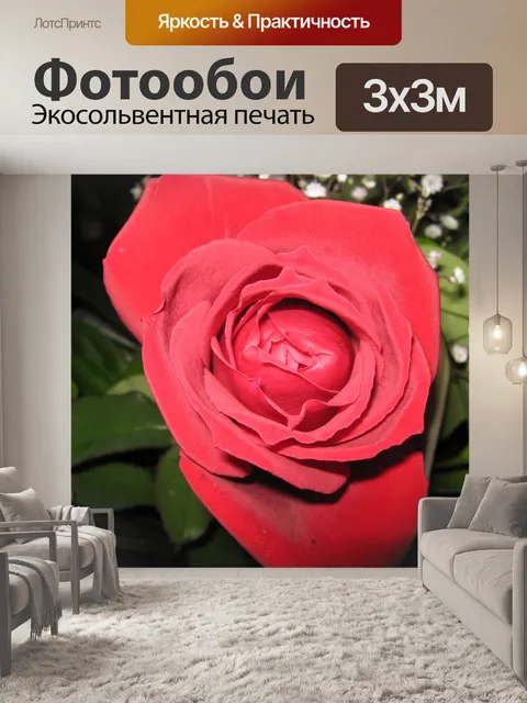 Фотообои Еще одна красивая красная роза