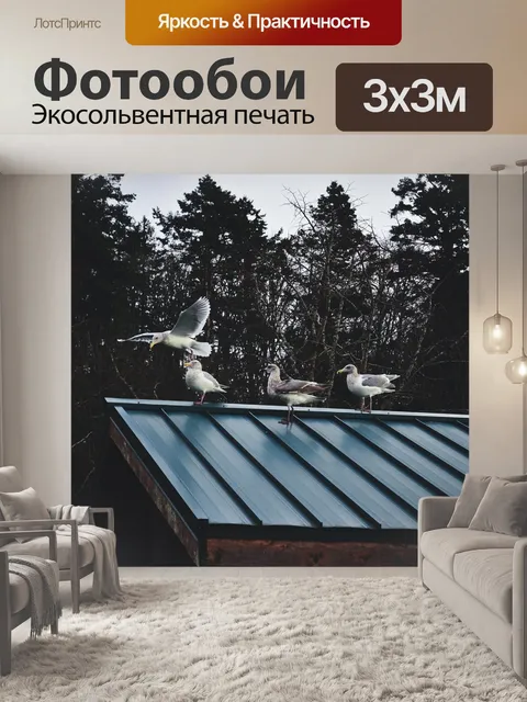 Фотообои Чайки